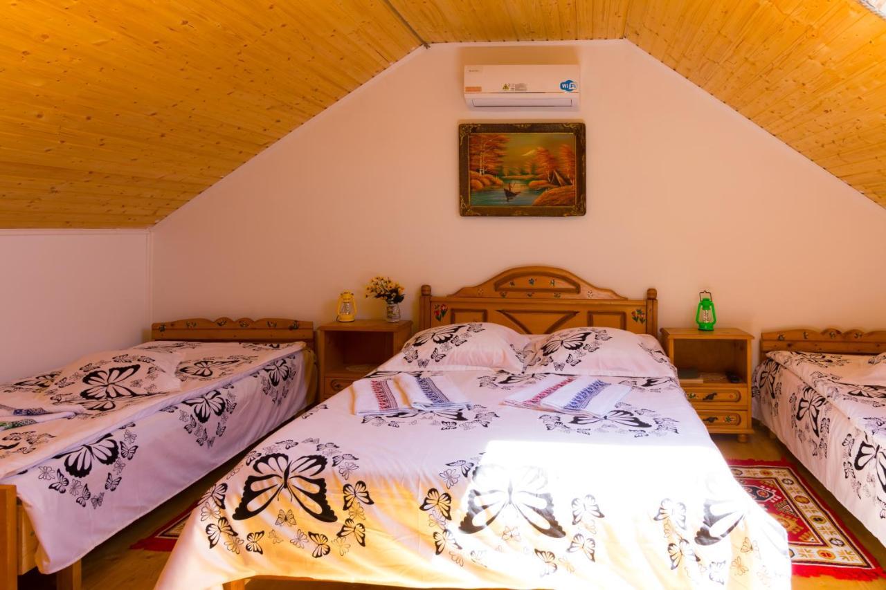 Casa De Vacanta Marya Baia de Fier Εξωτερικό φωτογραφία