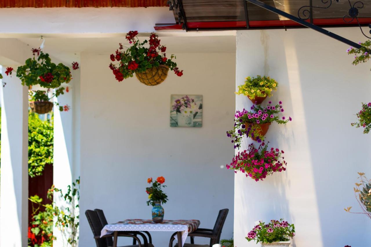 Casa De Vacanta Marya Baia de Fier Εξωτερικό φωτογραφία
