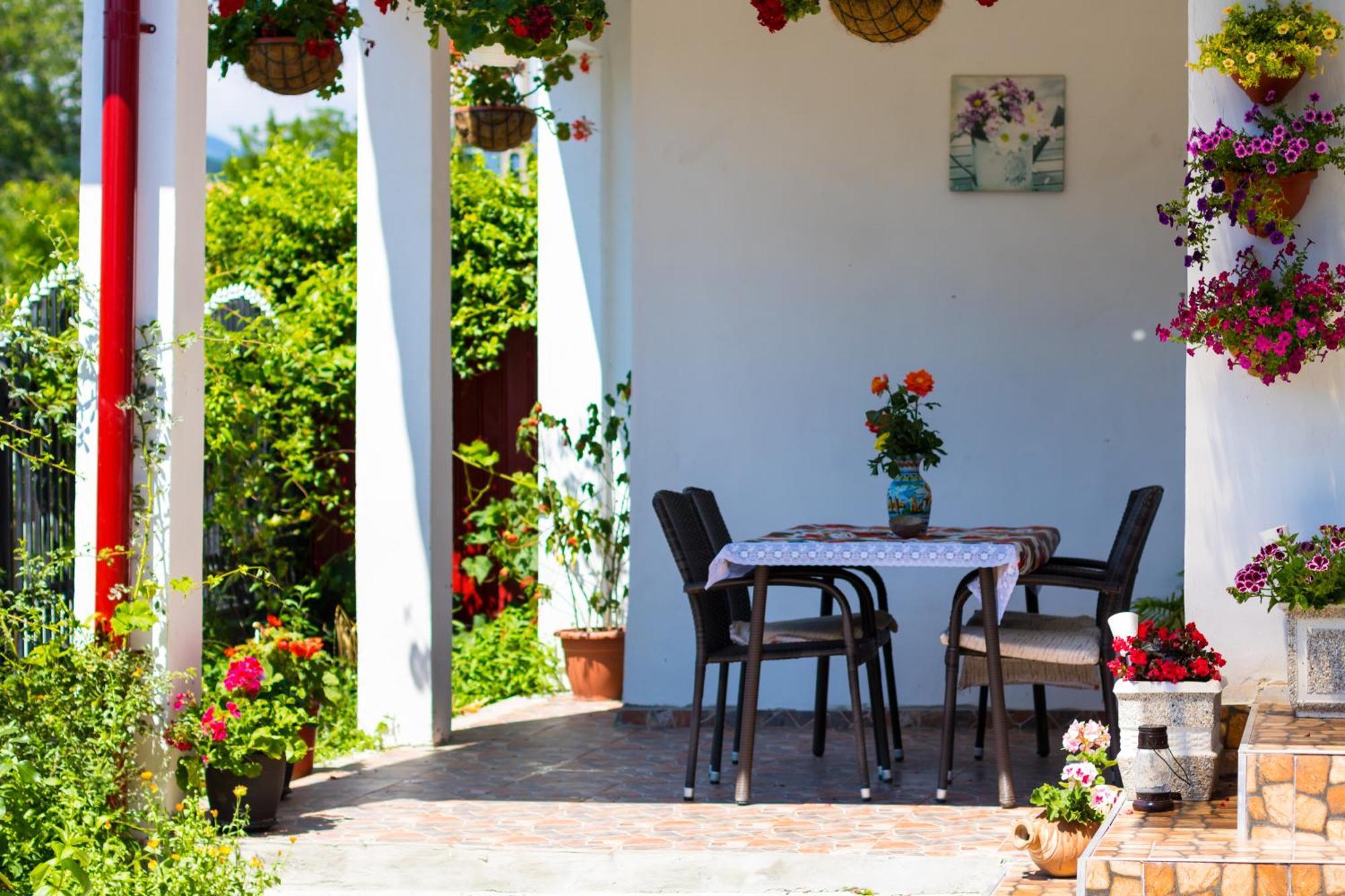 Casa De Vacanta Marya Baia de Fier Εξωτερικό φωτογραφία